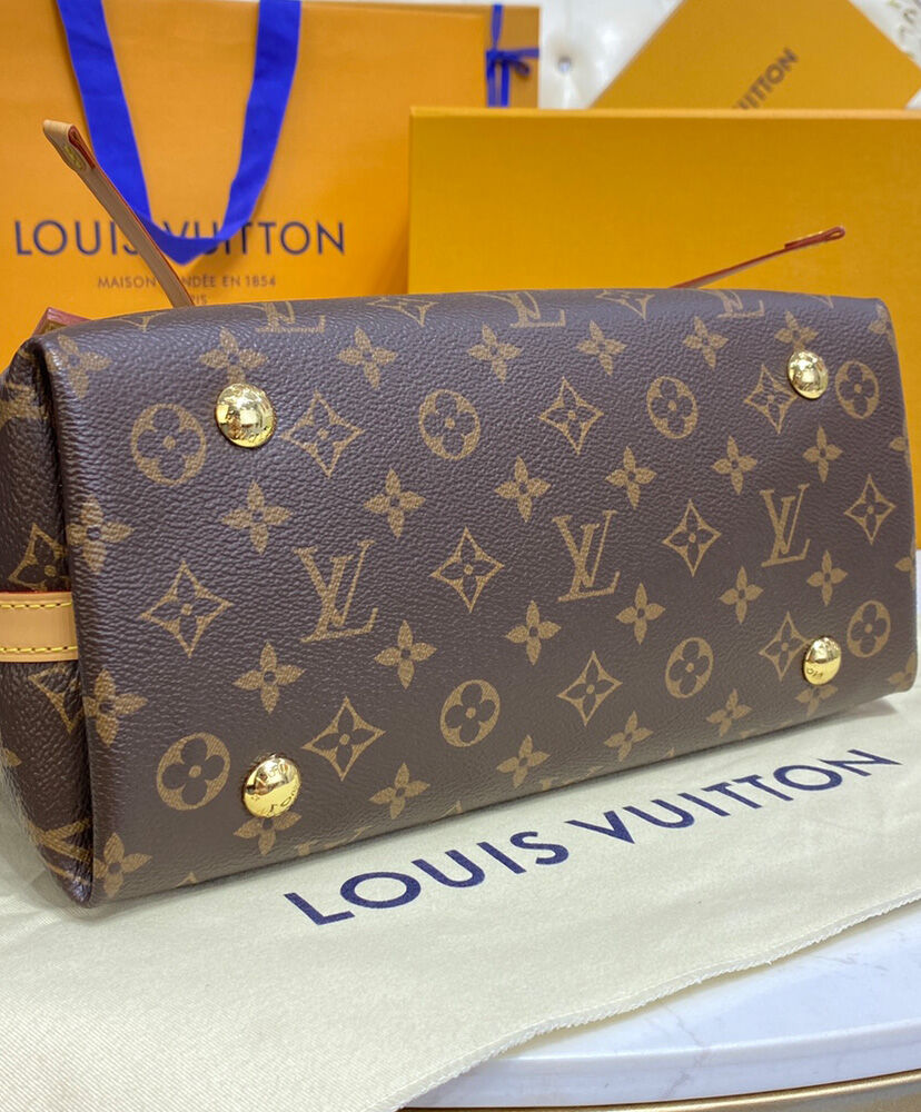 Louis Vuitton Carryall PM M46203 Brown