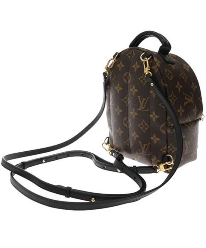 Louis Vuitton Monogram Palm Springs Backpack Mini Bag M41562 Brown