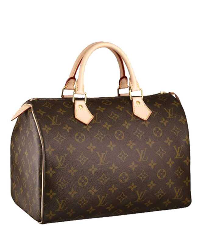 Louis Vuitton Speedy M41526 Brown