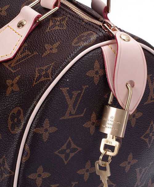 Louis Vuitton Speedy M41528 Brown