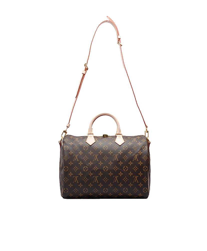 Louis Vuitton monogram speedy M40391 Brown