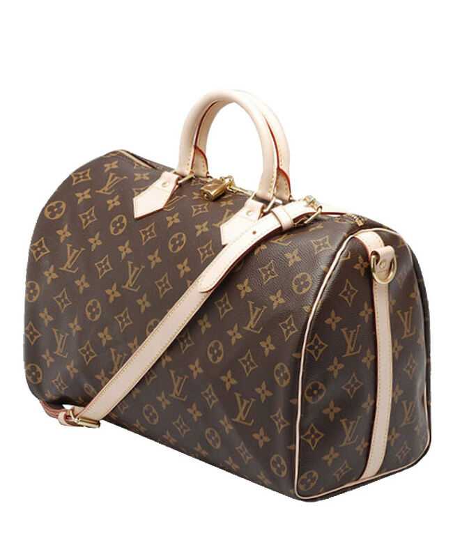 Louis Vuitton monogram speedy M40393 Brown