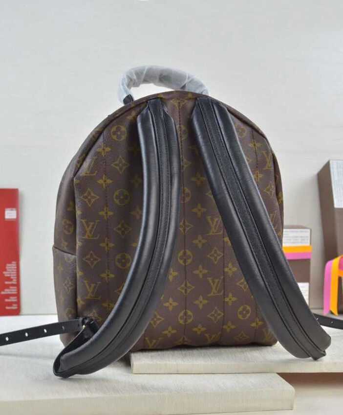 Louis vuitton Palm Springs Backpack MM M41561 Black