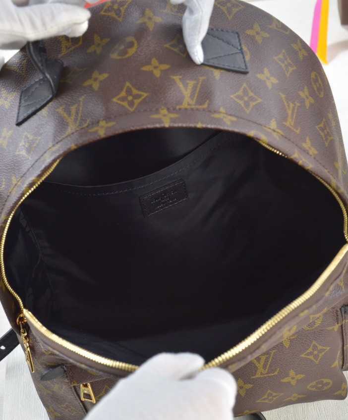 Louis vuitton Palm Springs Backpack MM M41561 Black