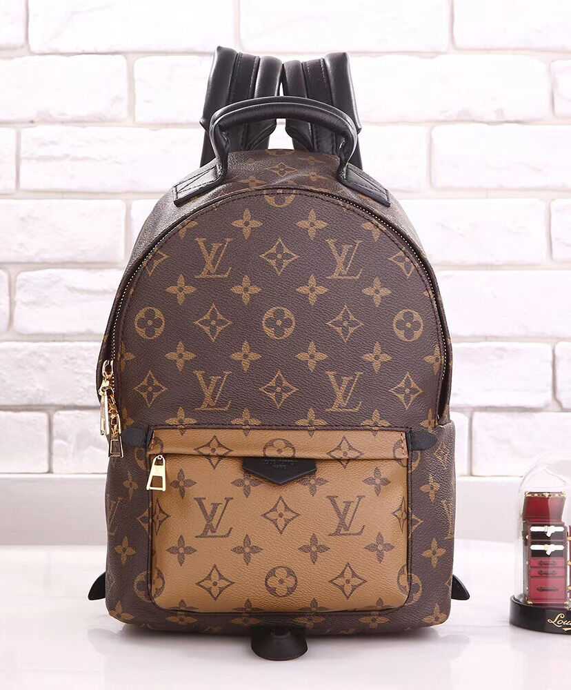 Louis Vuitton Palm Springs Pm M44870 Brown