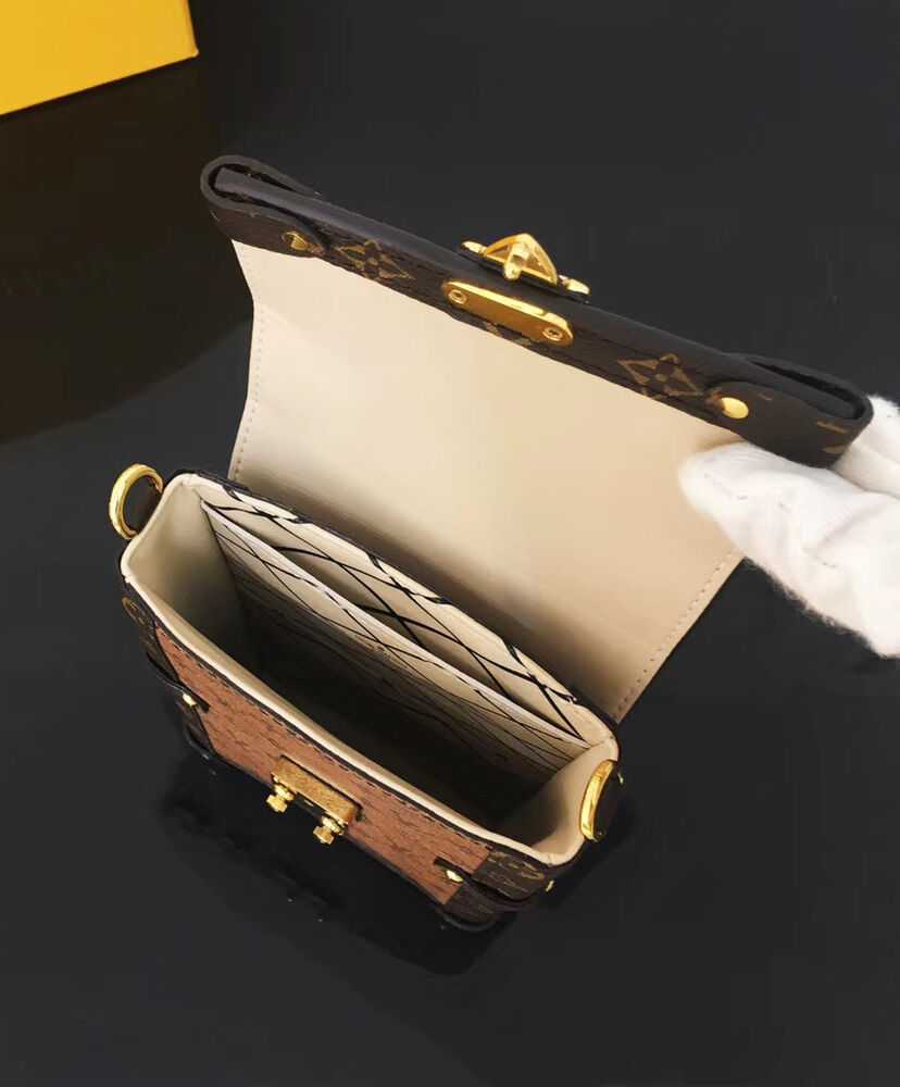 Louis Vuitton Pochette Trunk Verticale M67873 Apricot