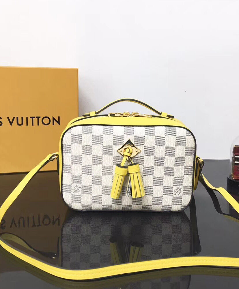 Louis Vuitton Saintonge N40154 Yellow