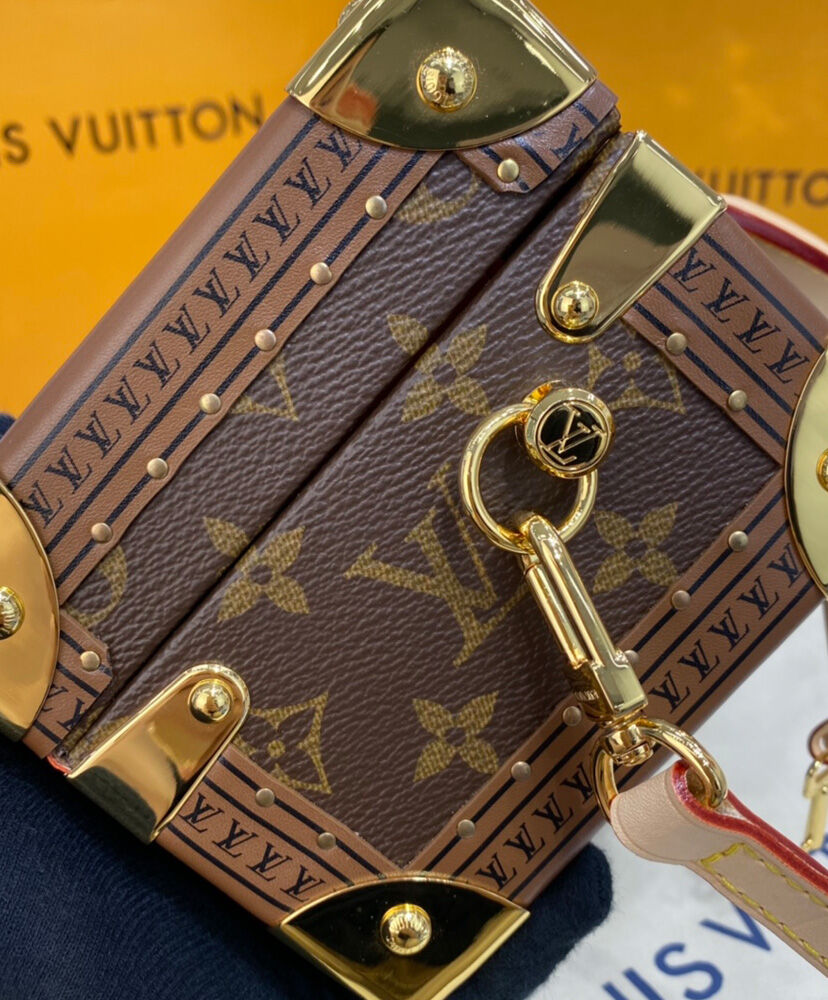 Louis Vuitton Tresor Case M45673 Brown