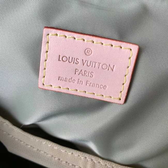 Louis Vuitton Outlet backpack M93055 grey