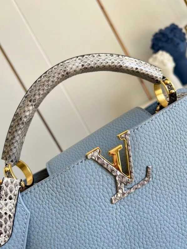 Louis Vuitton Outlet CAPUCINES PM M97980 light blue