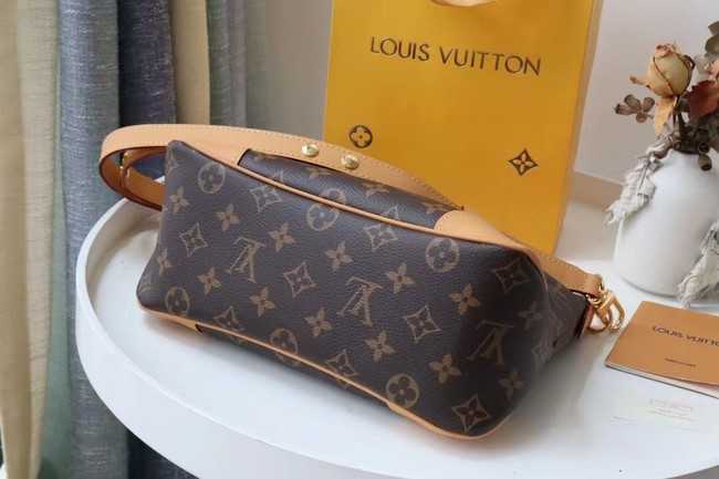 Louis Vuitton Outlet Monogram Canvas M45381 brown