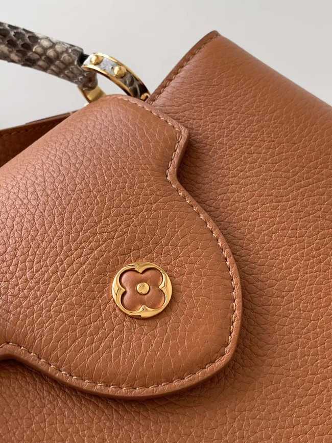 Louis Vuitton Outlet CAPUCINES PM M523867 brown