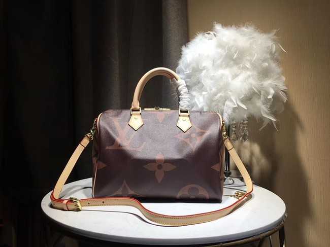 Louis Vuitton Outlet SPEEDY 30 M41112