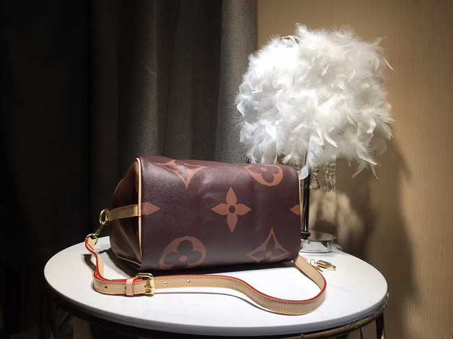 Louis Vuitton Outlet SPEEDY 30 M41112