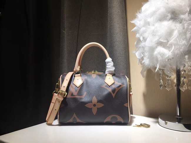 Louis Vuitton Outlet SPEEDY 25 M41111