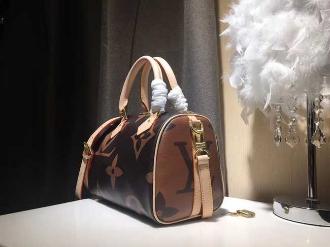 Louis Vuitton Outlet SPEEDY 25 M41111