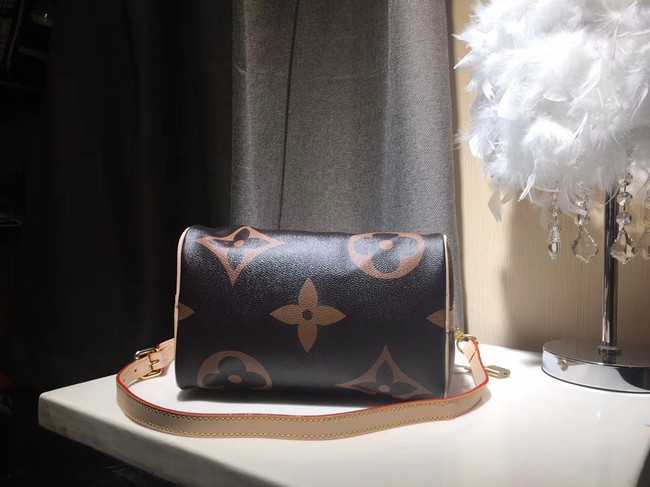 Louis Vuitton Outlet SPEEDY 25 M41111