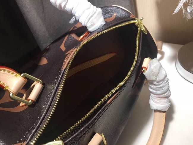 Louis Vuitton Outlet SPEEDY 25 M41111