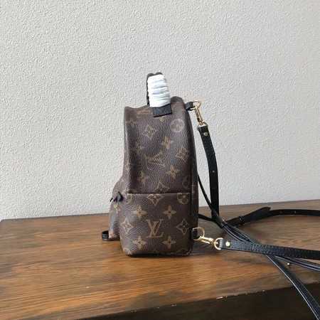 Louis Vuitton Outlet Monogram Canvas Mini knapsack Shiba M41562