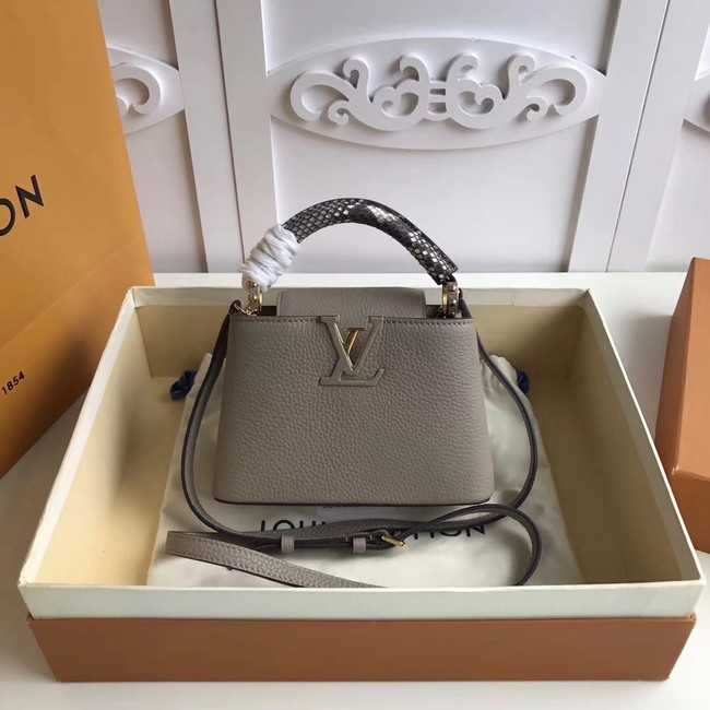 Louis Vuitton Outlet original CAPUCINES MINI N94047 grey