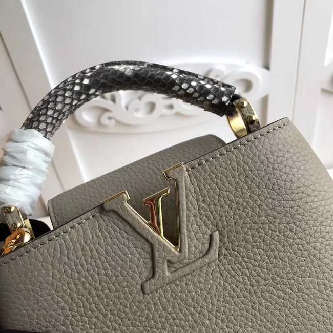 Louis Vuitton Outlet original CAPUCINES MINI N94047 grey