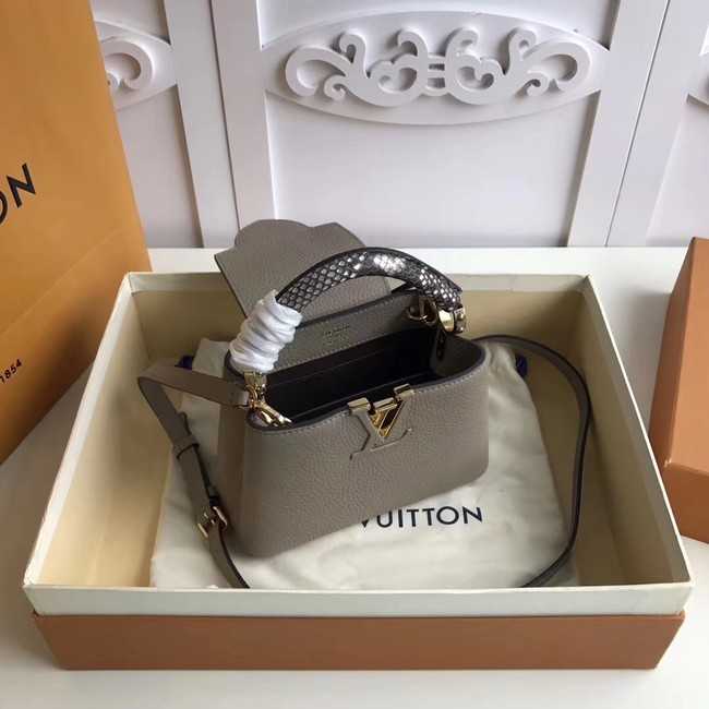 Louis Vuitton Outlet original CAPUCINES MINI N94047 grey