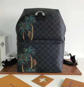 Louis Vuitton Outlet original Monogram Damier Ebene apollo backpack M50003 Coconut tree