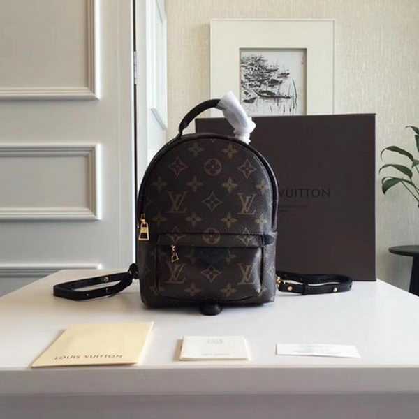 Louis Vuitton Outlet Monogram Canvas PALM SPRINGS BACKPACK MINI M41562