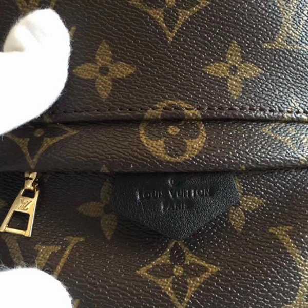 Louis Vuitton Outlet Monogram Canvas PALM SPRINGS BACKPACK MINI M41562