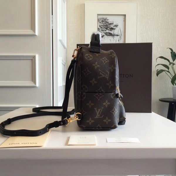 Louis Vuitton Outlet Monogram Canvas PALM SPRINGS BACKPACK MINI M41562