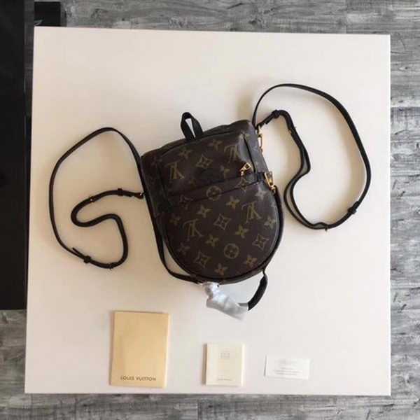 Louis Vuitton Outlet Monogram Canvas PALM SPRINGS BACKPACK MINI M41562