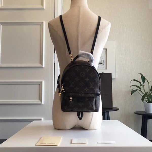 Louis Vuitton Outlet Monogram Canvas PALM SPRINGS BACKPACK MINI M41562