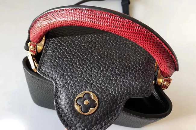 Louis Vuitton Outlet CAPUCINES MINI N94047 black&red