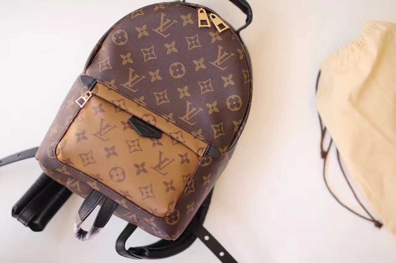 Louis Vuitton Outlet Monogram Canvas PALM SPRINGS BACKPACK MM M43116