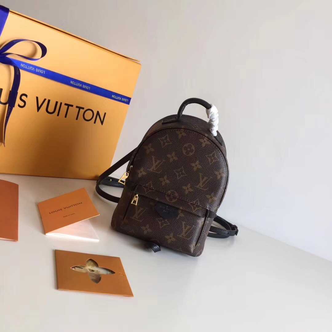 Louis Vuitton Outlet Monogram Canvas Palm Springs Backpack Mini M41562