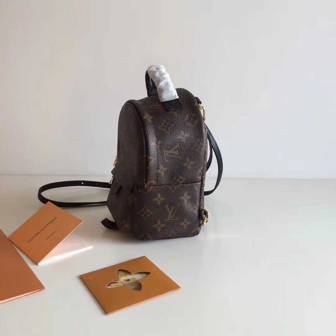 Louis Vuitton Outlet Monogram Canvas Palm Springs Backpack Mini M41562