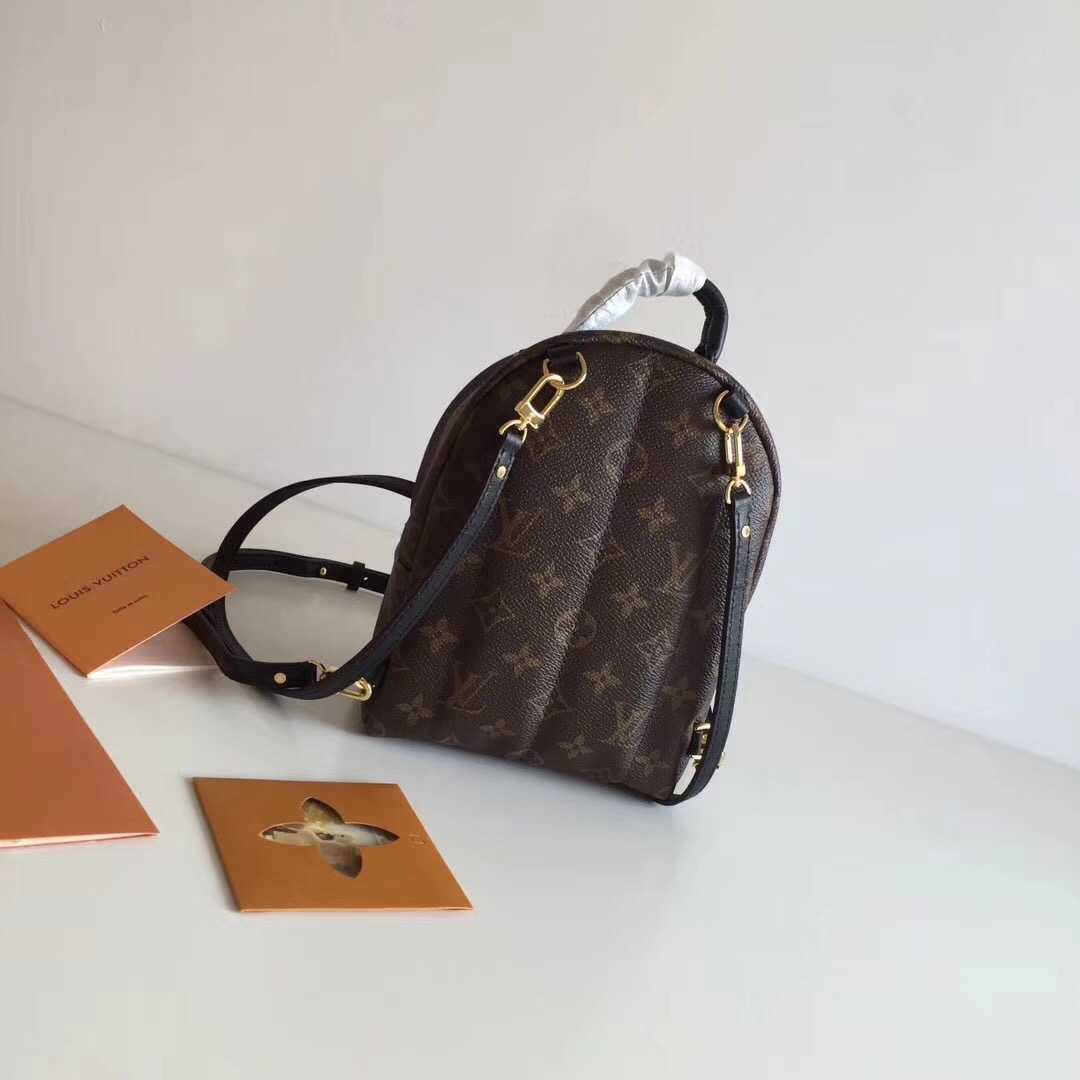 Louis Vuitton Outlet Monogram Canvas Palm Springs Backpack Mini M41562