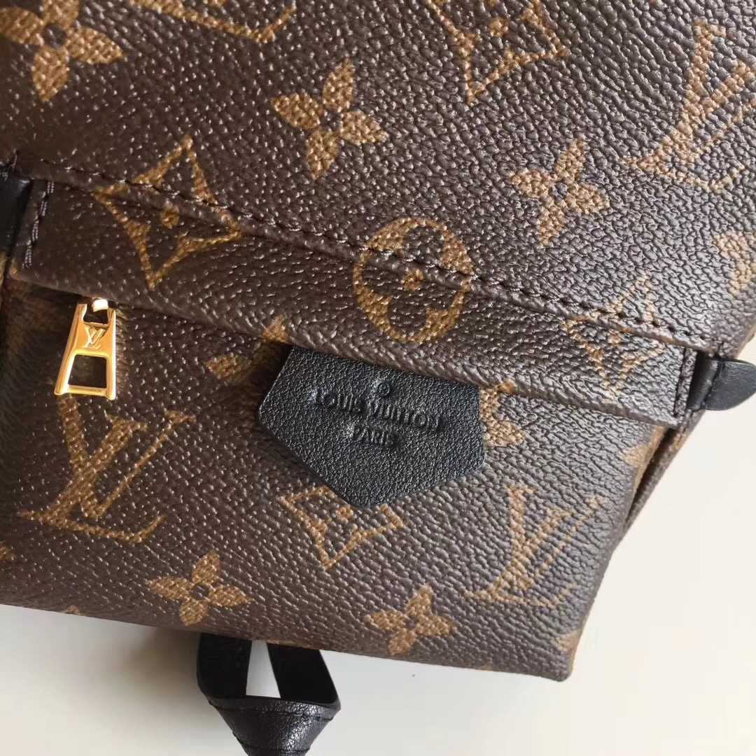 Louis Vuitton Outlet Monogram Canvas Palm Springs Backpack Mini M41562