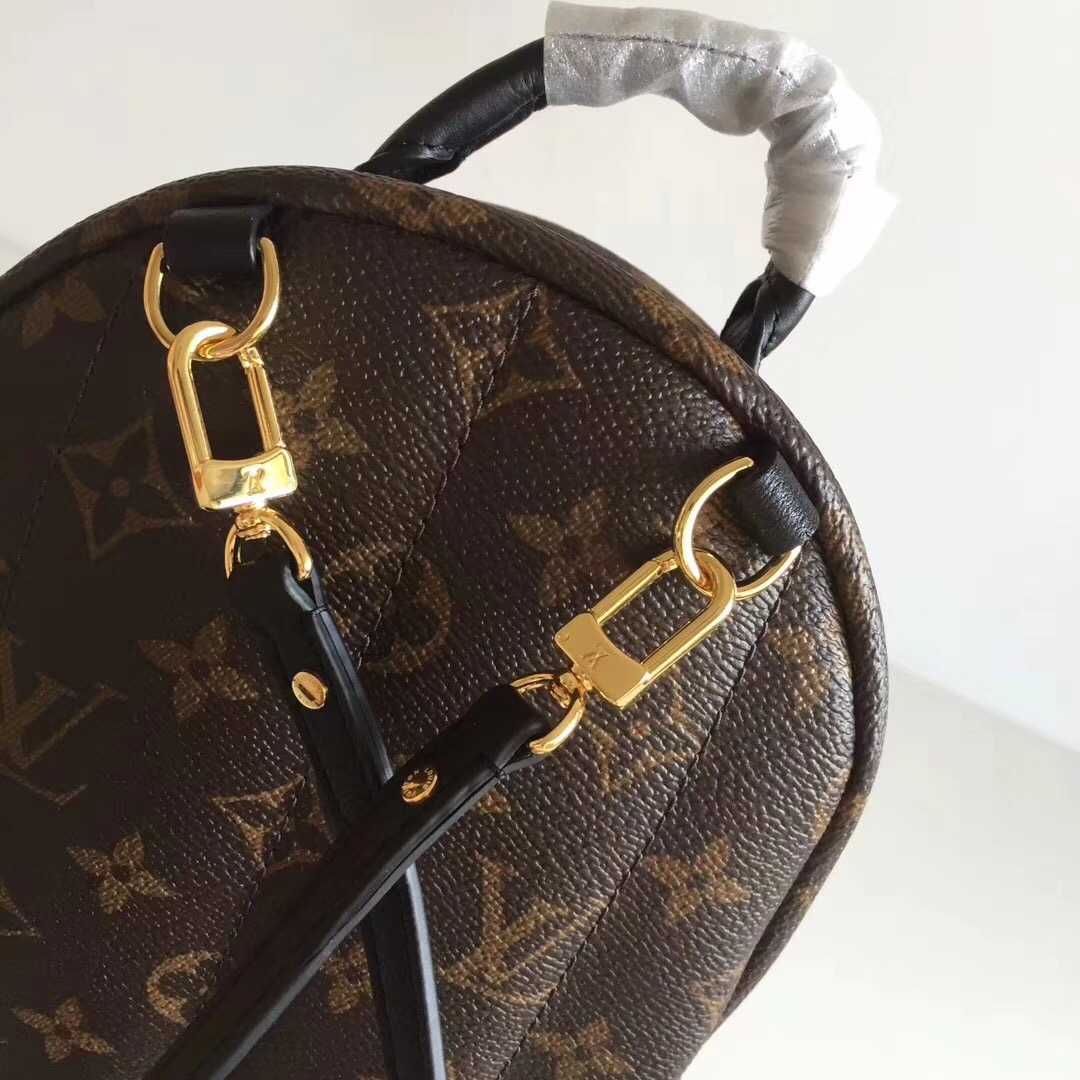 Louis Vuitton Outlet Monogram Canvas Palm Springs Backpack Mini M41562