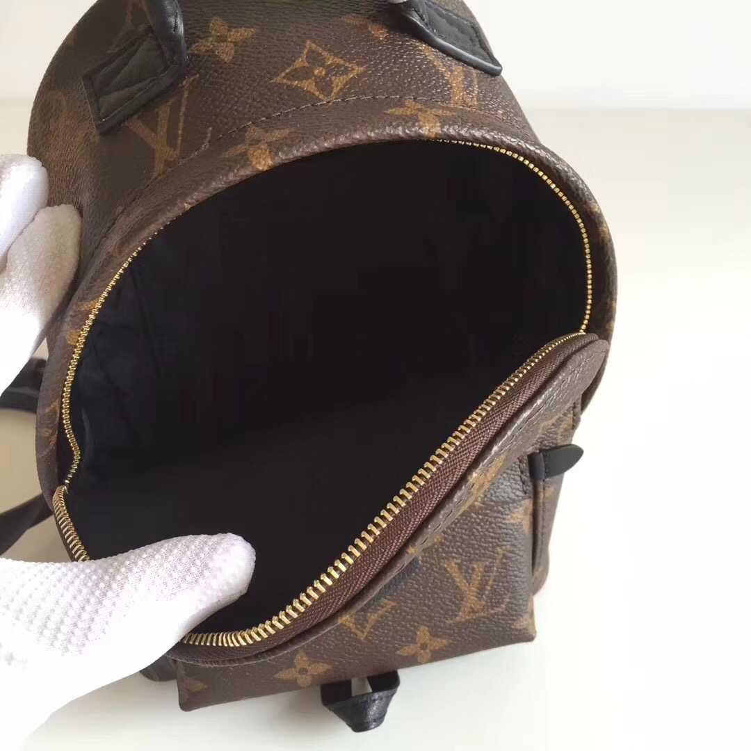 Louis Vuitton Outlet Monogram Canvas Palm Springs Backpack Mini M41562