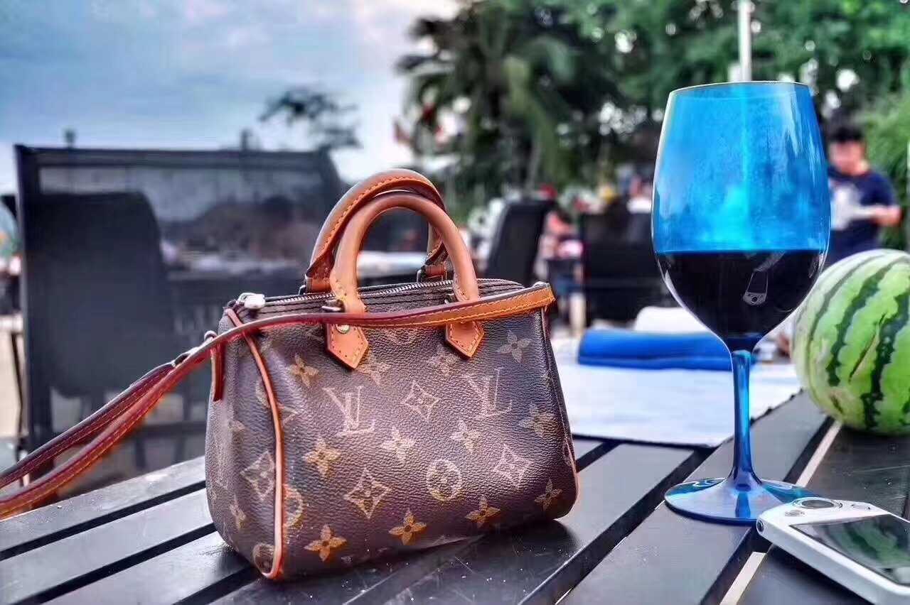 Louis Vuitton Outlet Monogram Canvas Original leather nano speedy M61252