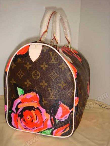 Louis Vuitton Outlet Stephen Sprouse Collection Speedy 30 Roses M48610