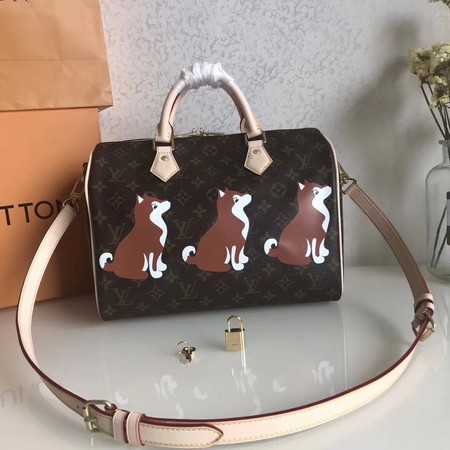 Louis Vuitton Outlet Monogram Canvas NANO SPEEDY 30 41114