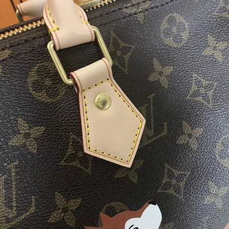 Louis Vuitton Outlet Monogram Canvas NANO SPEEDY 30 41114