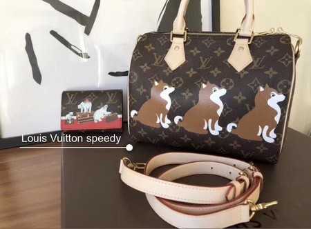 Louis Vuitton Outlet Monogram Canvas NANO SPEEDY 30 41114