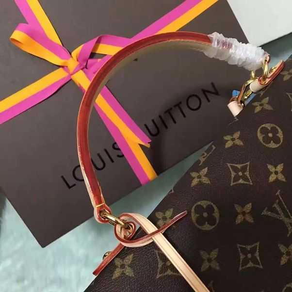 2016 Louis Vuitton Outlet monogram canvas cluny mm m42735