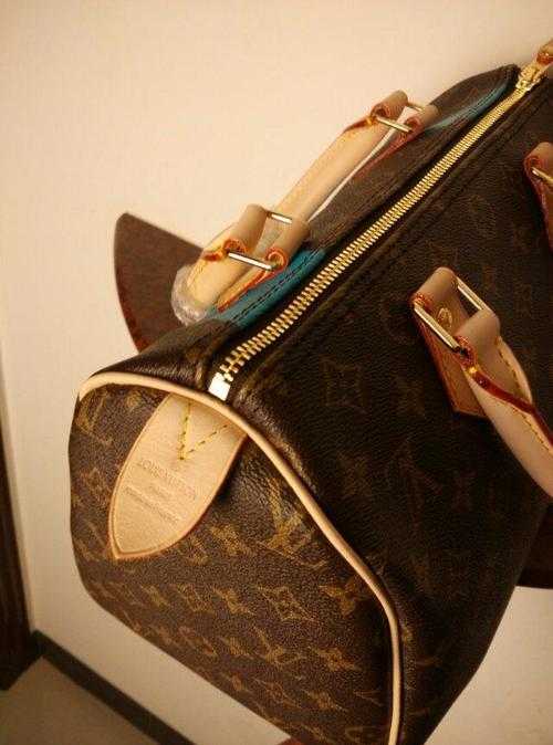 Louis Vuitton Outlet MONOGRAM V SPEEDY 30 Bag M41533 Blue