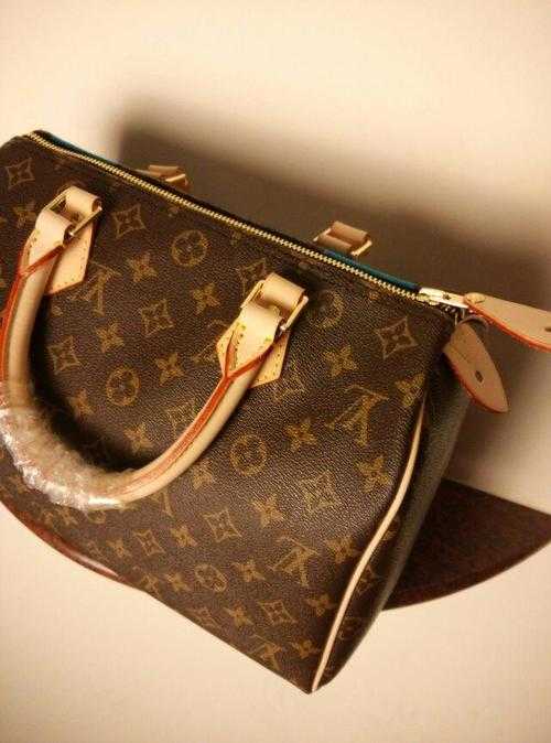 Louis Vuitton Outlet MONOGRAM V SPEEDY 30 Bag M41533 Blue