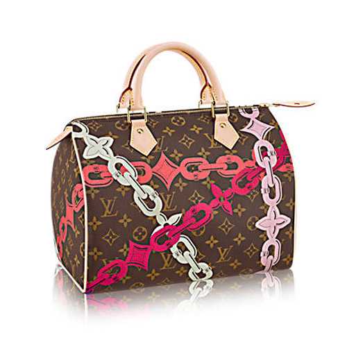 Louis Vuitton Outlet Monogram Canvas Speedy 30 M41989