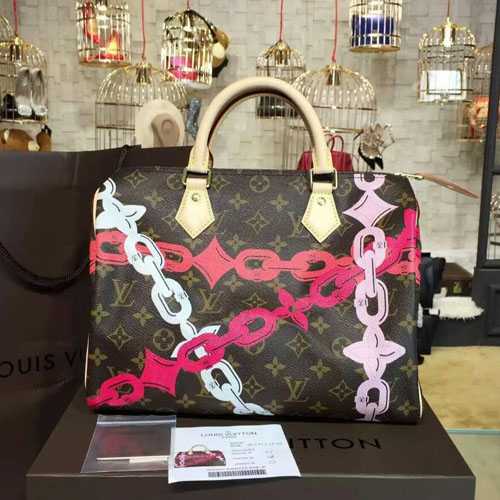 Louis Vuitton Outlet Monogram Canvas Speedy 30 M41989